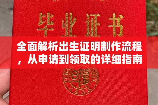 东明全面解析出生证明制作流程，从申请到领取的详细指南