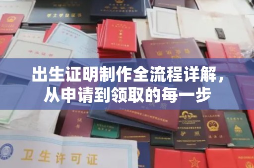 东明出生证明制作全流程详解，从申请到领取的每一步