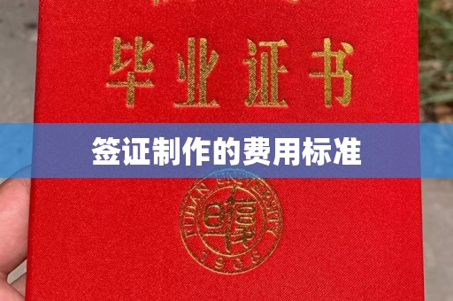 东明签证制作的费用标准