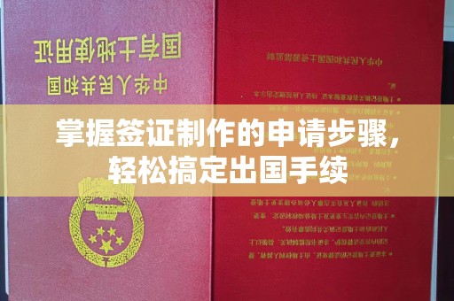 东明掌握签证制作的申请步骤，轻松搞定出国手续