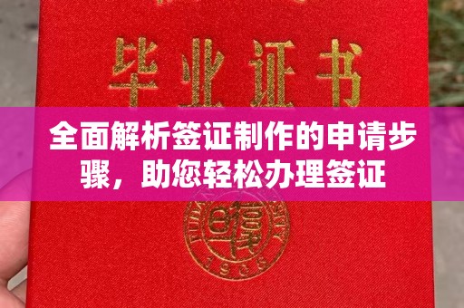 东明全面解析签证制作的申请步骤，助您轻松办理签证