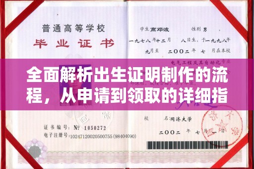 东明全面解析出生证明制作的流程，从申请到领取的详细指南