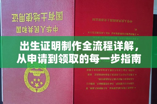 东明出生证明制作全流程详解，从申请到领取的每一步指南