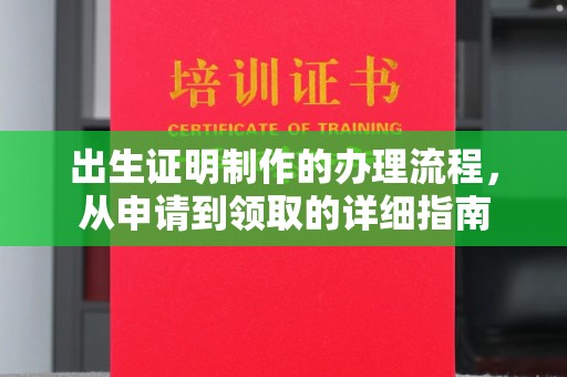东明出生证明制作的办理流程，从申请到领取的详细指南